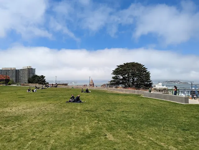 Dog Park Francisco Park San Francisco