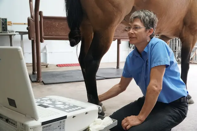 Pet vet Tacoma Equine Hospital Tacoma