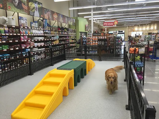 Dog day care center Pet Food Express Long Beach
