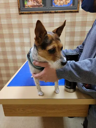Pet boarding service Audubon Veterinary Clinic Spokane