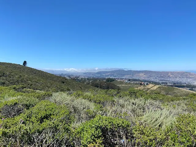 Dog Park Sweeney Ridge Trail Daly City