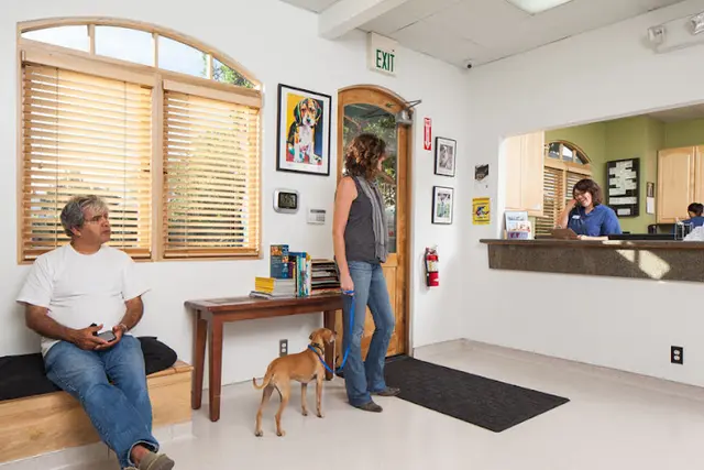 Pet boarding service VCA Care Specialty and Emergency Animal Hospital Santa Barbara