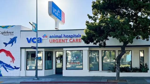 Pet vet VCA Animal Hospitals Urgent Care - Mar Vista Santa Monica