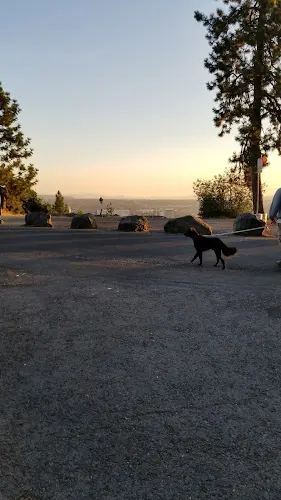 Dog Park Edwidge Woldson Park Spokane