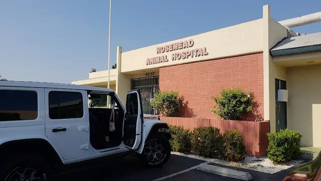 Pet boarding service Rosemead Animal Hospital El Monte