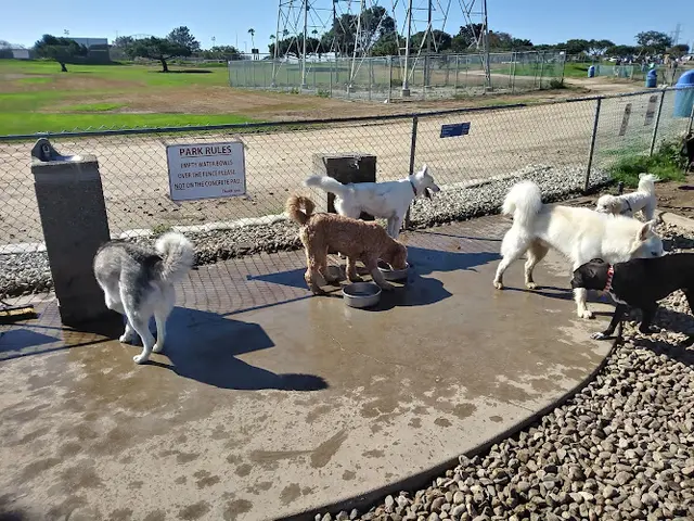 Dog Park Redondo Beach Dog Park Inglewood