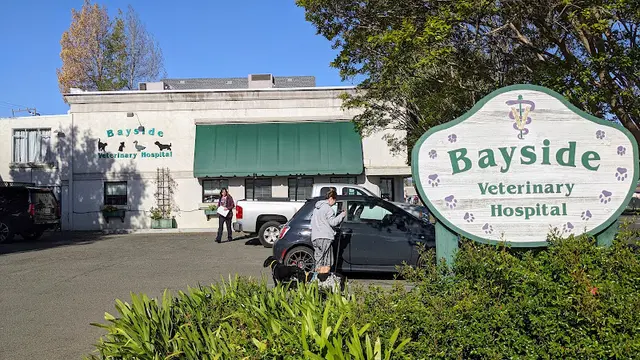 Pet vet Bayside Veterinary Hospital Vallejo