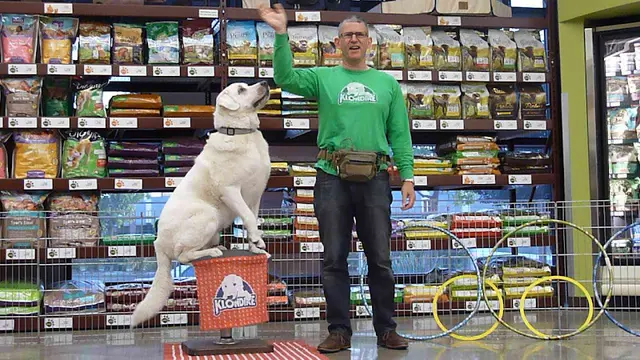 Dog breeder Bravo!Pup Vallejo