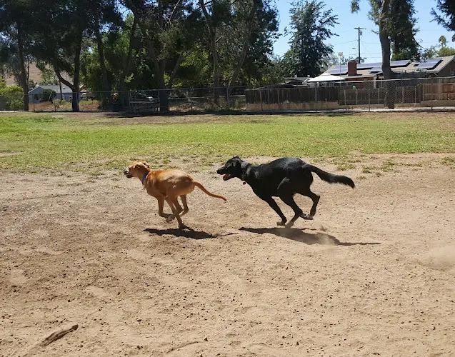 Dog Park Poway Dog Park Temecula