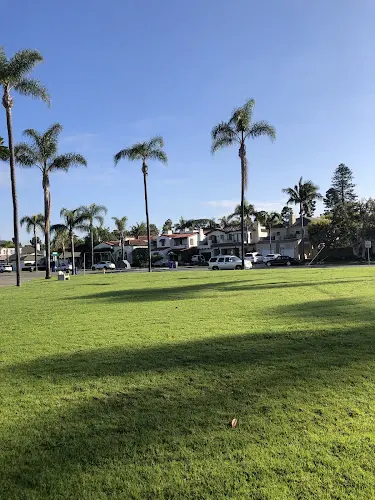 Dog Park Vetter Park San Diego