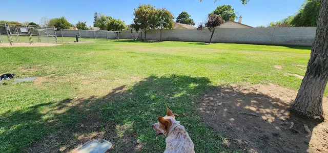 Dog Park Krebs Dog Park Bakersfield