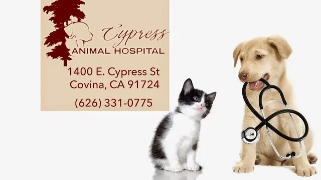 Pet vet Cypress Animal Hospital West Covina