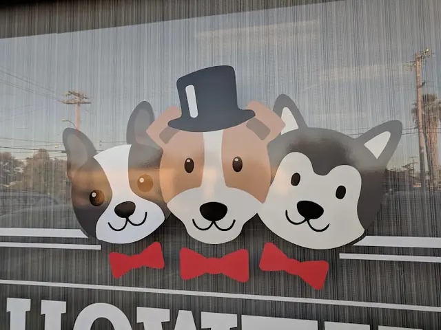 Dog Grooming Showtime Pet Grooming San Jose