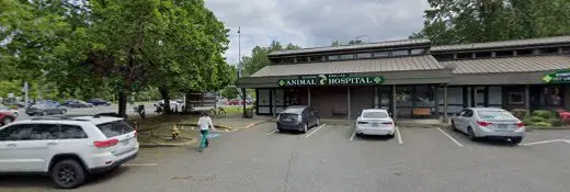 Pet vet Redmond-Kirkland Animal Hospital Kirkland
