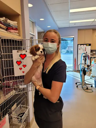 Pet vet Point Vicente Animal Hospital Carson