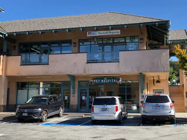 Dog day care center Crystal Springs Pet Hospital San Mateo