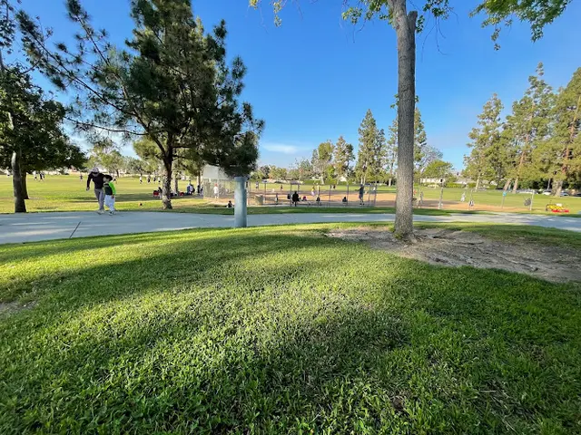 Dog Park Brywood Park Irvine