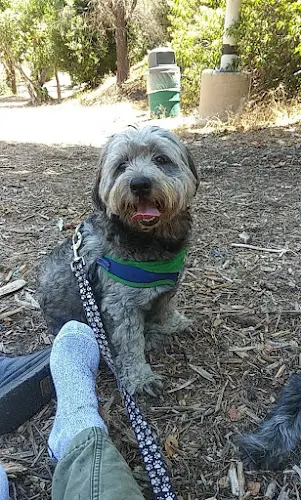 Rescue & Shelter PETNJOY LA Compton