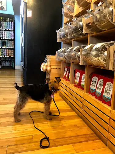 Pet vet Jeffrey's Natural Pet Foods Duboce Park San Francisco