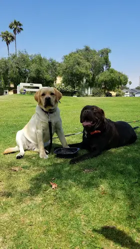 Dog Park Bailey Park Huntington Beach