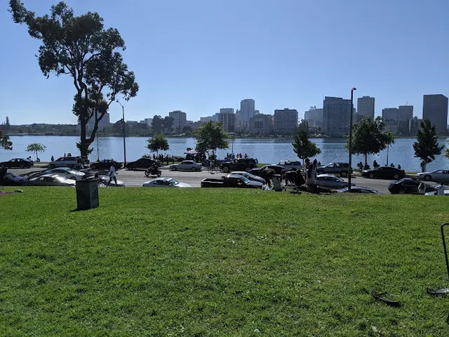 Dog Park Pine Knoll Park Oakland