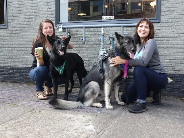 Dog day care center Urban Pawsibilities Portland