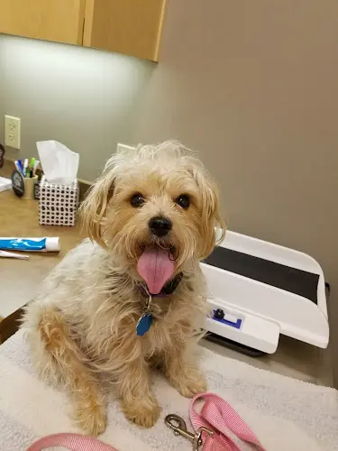 Pet vet Sunstone Veterinary Specialists Gresham