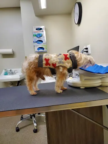 Pet vet OakVet Animal Specialty Hospital Richmond