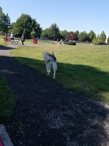 Dog Park Gfrc Hillsboro