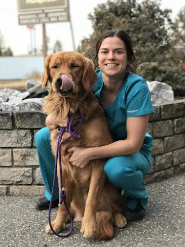 Pet vet Whatcom Veterinary Hospital Bellingham