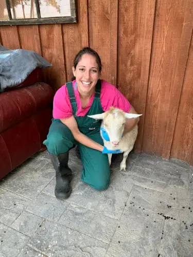 Pet boarding service GreenTree Veterinary Service Santa Monica
