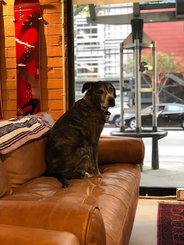 Dog breeder Burton Santa Monica Flagship Store Santa Monica