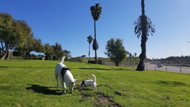 Dog Park Joan Milke Flores Park Carson