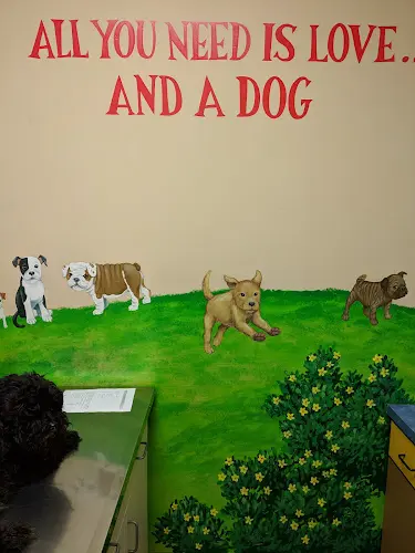 Pet vet Caldwell Pet Hospital Visalia