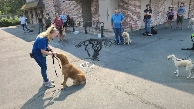 Dog day care center ACT Spay/Neuter Clinic Stockton