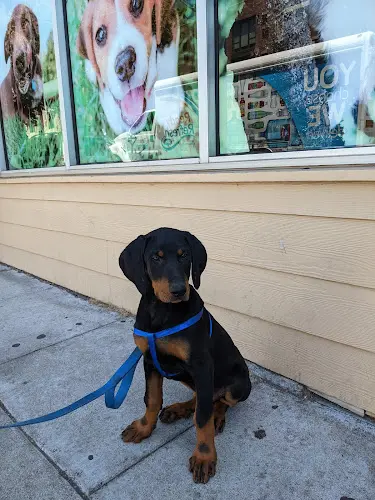 Pet vet Petvet Petfood Richmond