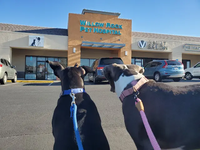 Pet vet Willow Rock Pet Hospital Roseville