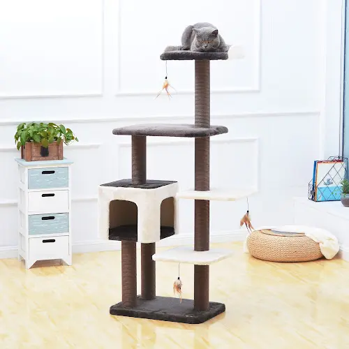 Dog walker PetPals Group, Inc. Ontario