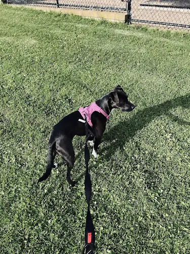 Dog Park Visitacion Valley Playground Daly City