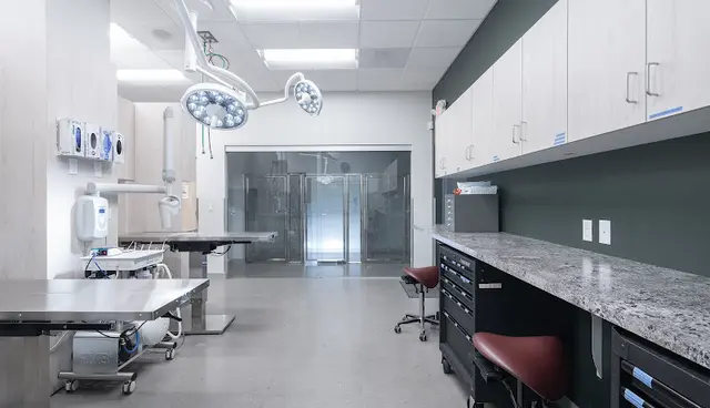 Pet vet Pet Dental Specialists Vancouver