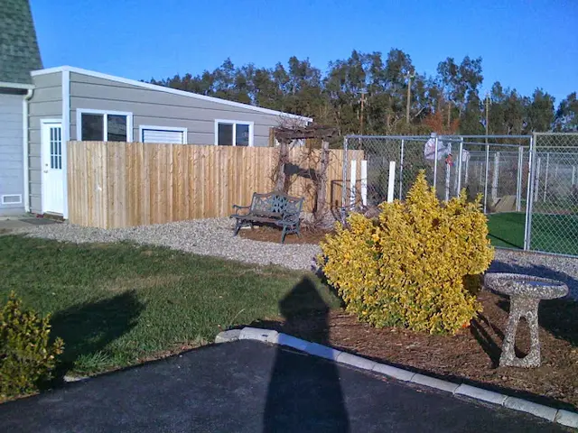 Dog day care center Alan's Canine Training and Kennels Vacaville