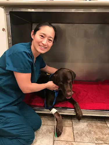 Pet vet Mohnacky Animal Hospitals of Carlsbad Oceanside