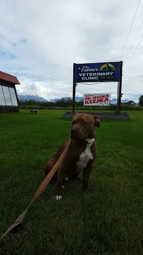 Pet vet Palmer Veterinary Clinic Anchorage