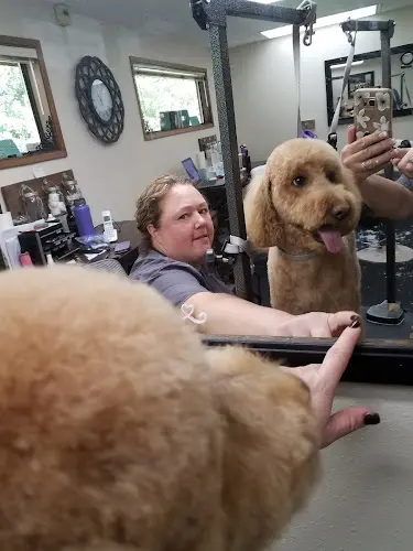 Pet vet Westcreek Grooming salon Yakima