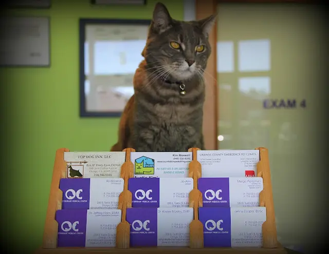 Pet vet OC Veterinary Medical Center Fullerton