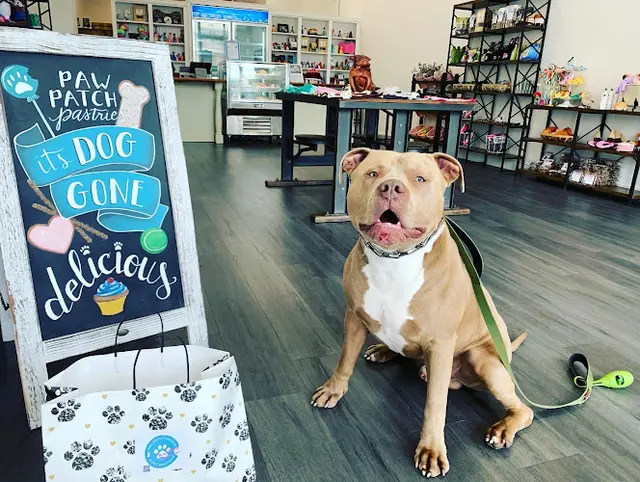 Dog day care center Paw Patch Pastries & Pet Boutique Daly City