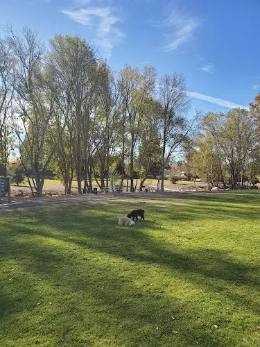 Dog Park Spring Meadow Park Thousand Oaks