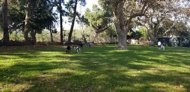 Dog Park Long Beach POA Park Long Beach