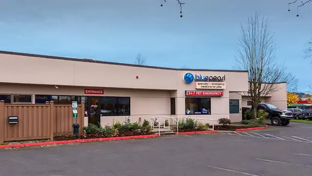 Dog day care center BluePearl Pet Hospital Renton