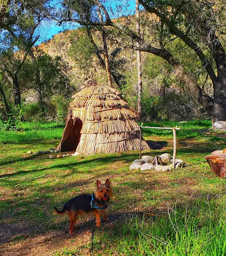 Dog Park Wilderness Gardens Park Temecula